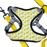 Citrus Perfect Fit Dog Harness