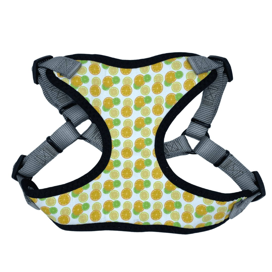 Citrus Perfect Fit Dog Harness