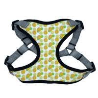 Citrus Perfect Fit Dog Harness