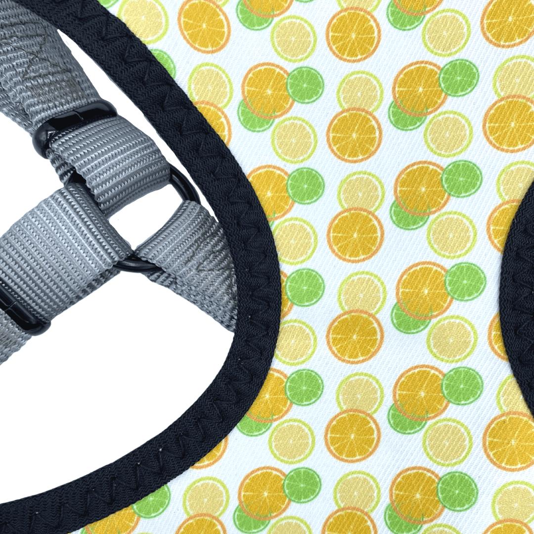 Citrus Perfect Fit Dog Harness