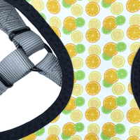 Citrus Perfect Fit Dog Harness