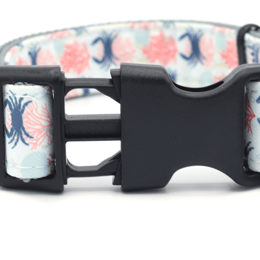 closeup of black dog collar clasp