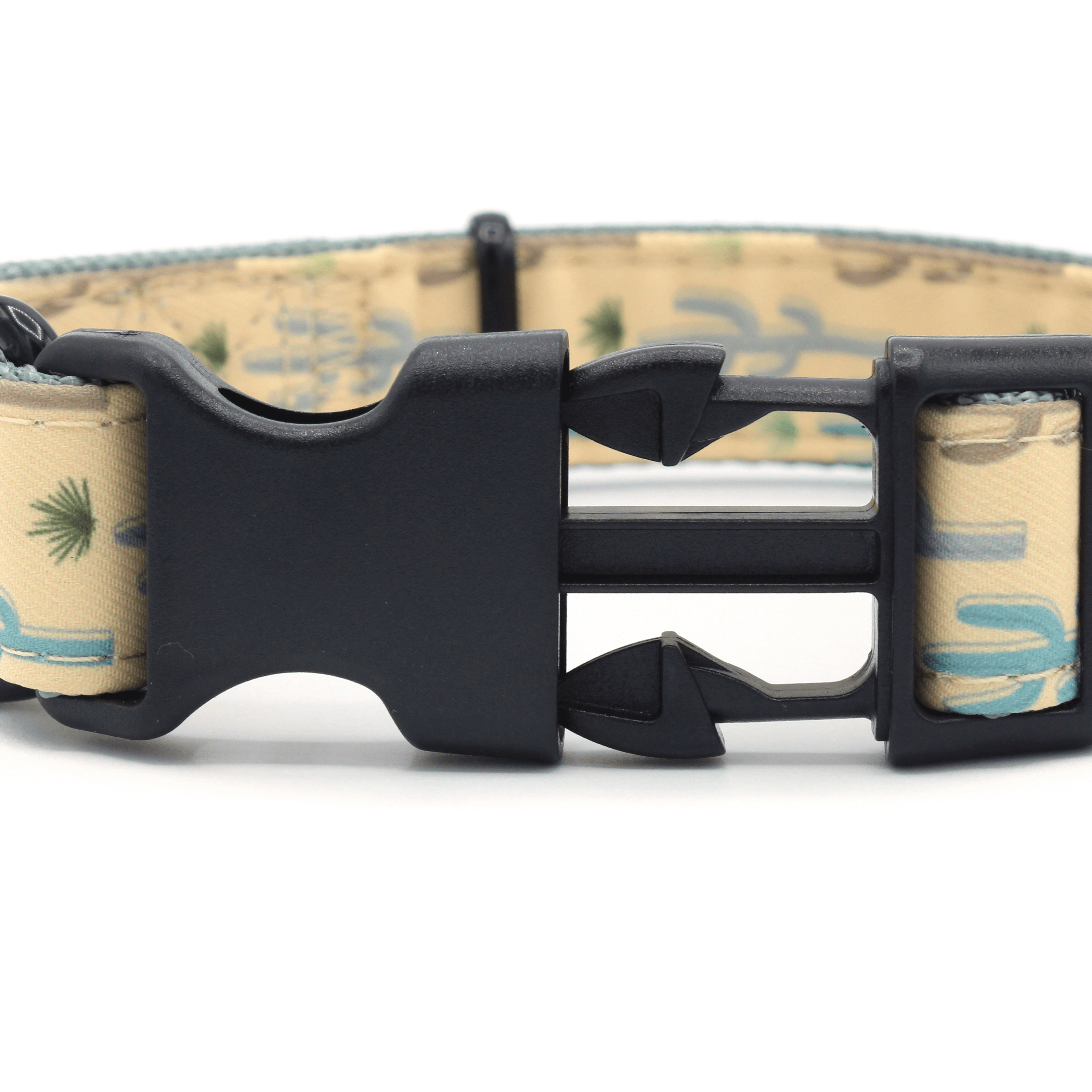 Cactus Dog Collar – Artelexia