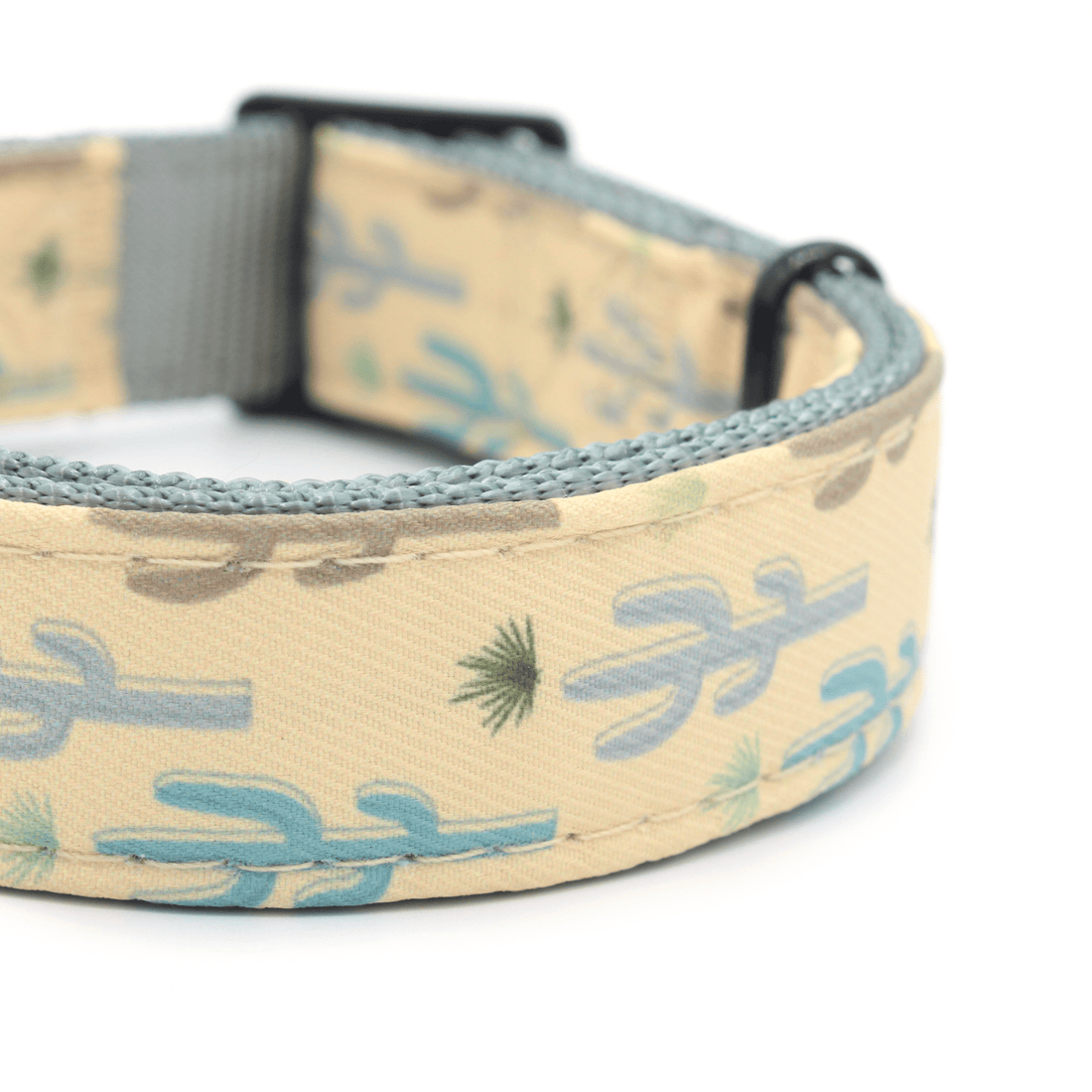 close up high quality cactus pattern dog collar