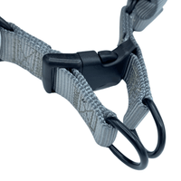 Bookworm Perfect Fit Dog Harness