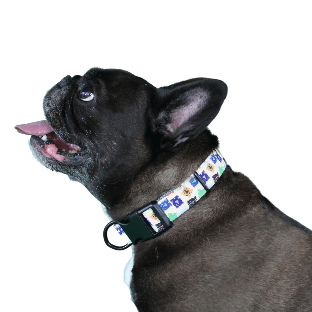 high quality frog pattern dog collar on dog