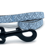 double handle dog leash closeup for strong dogs