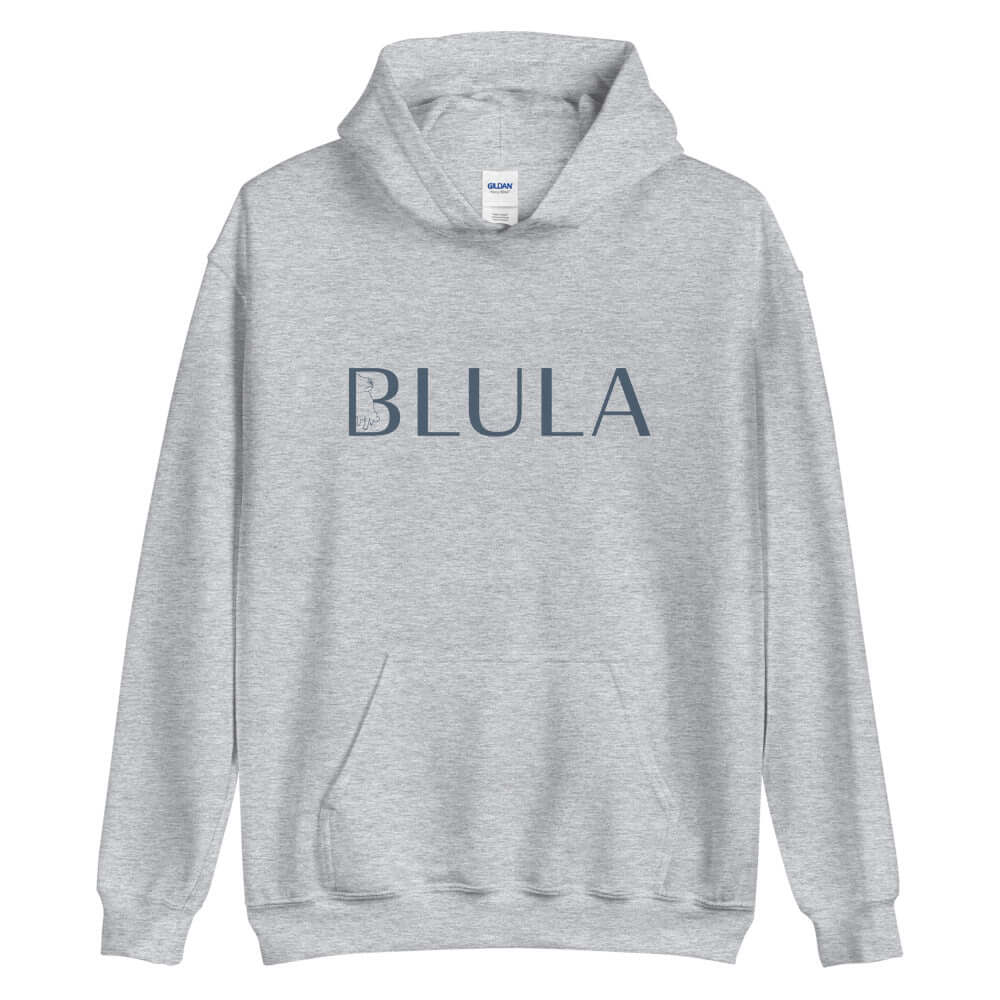 Blula Unisex Grey Hoodie