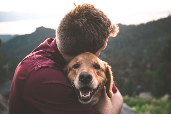 man overlooking a valley hugging his golden retriever who is facing and smiling at camera