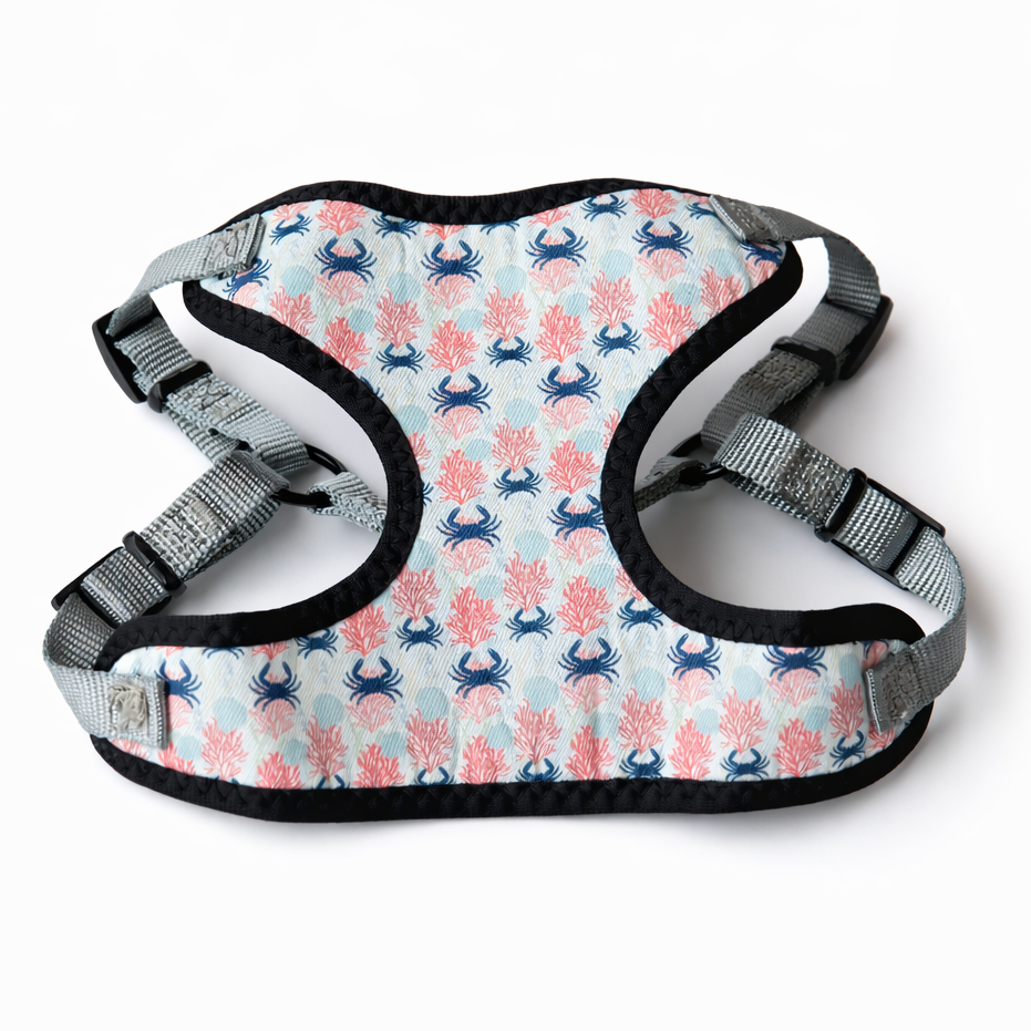 Beach Day Perfect Fit Dog Harness