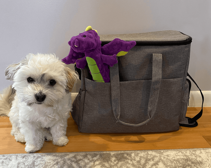 white dog next to gray dog travel bag