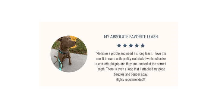 5-star review of teal leash with brown dog