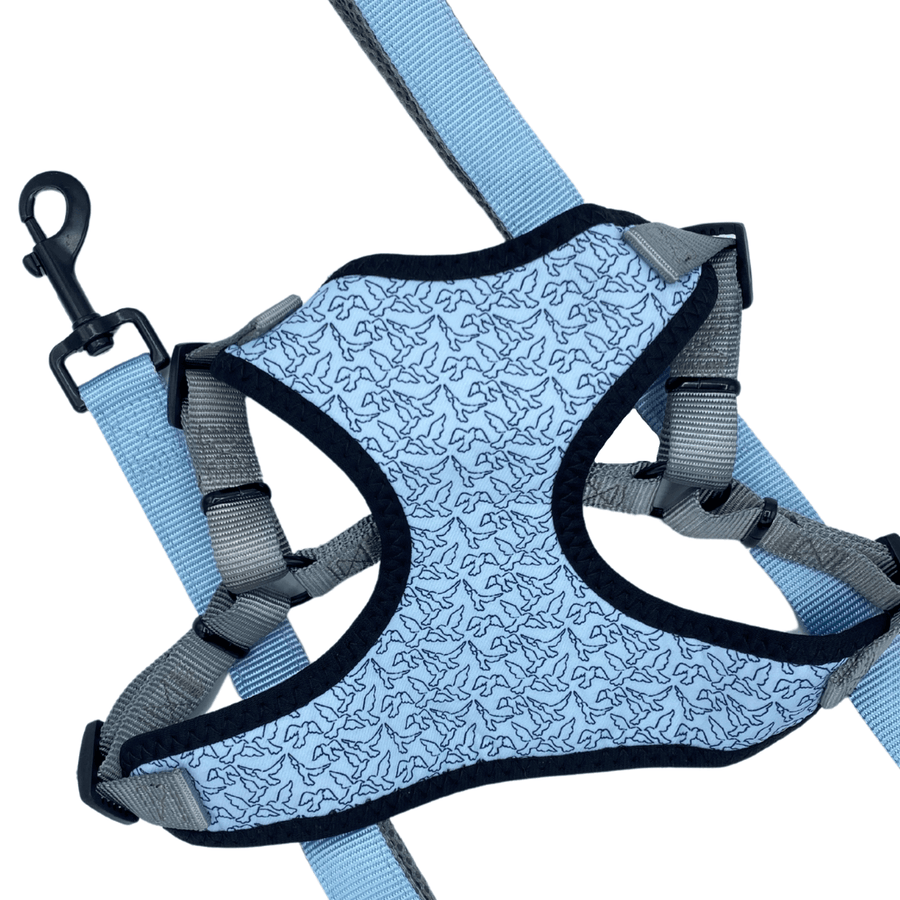 Little Birdie Perfect Fit Dog Harness
