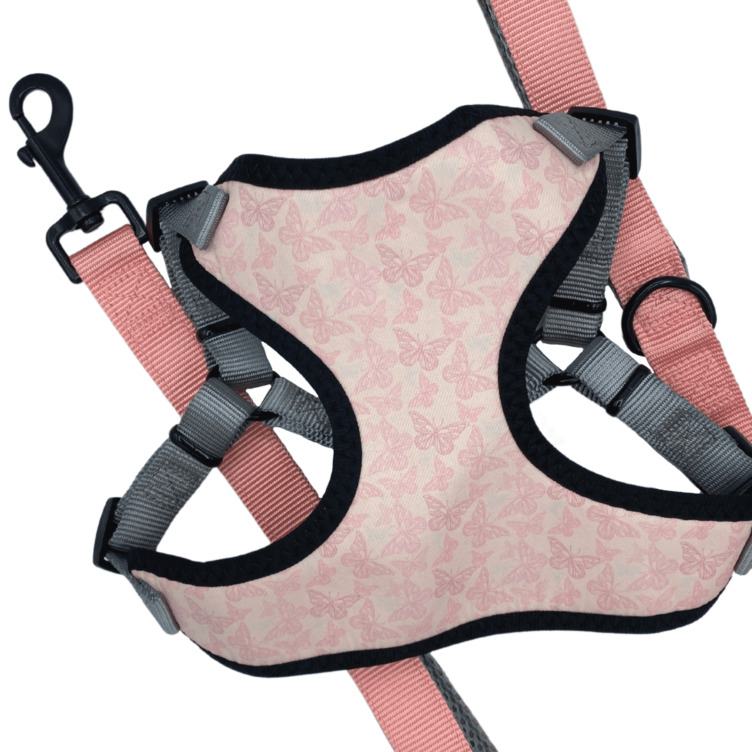 Social Butterfly Perfect Fit Dog Harness