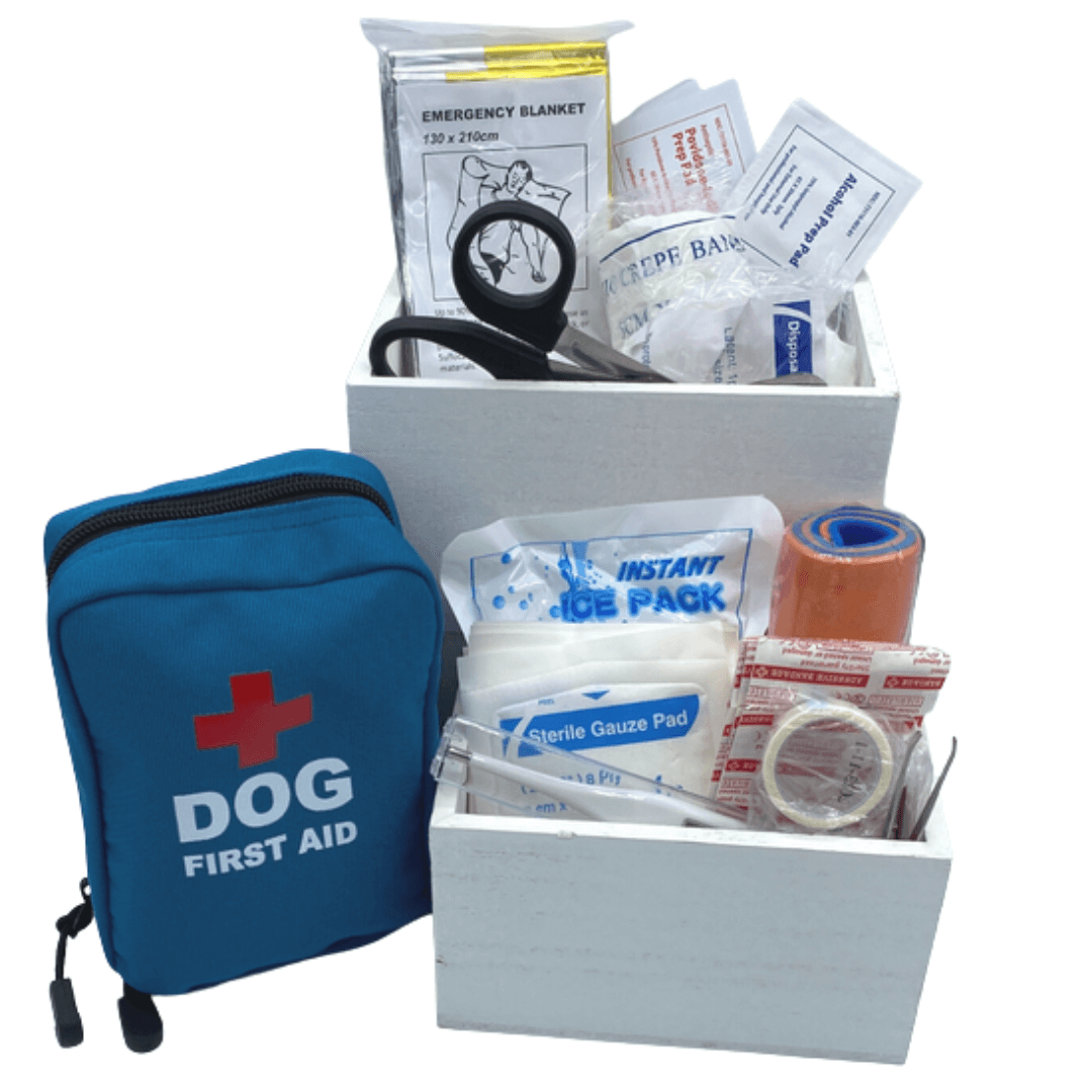 Compact Travel Dog First Aid Kit