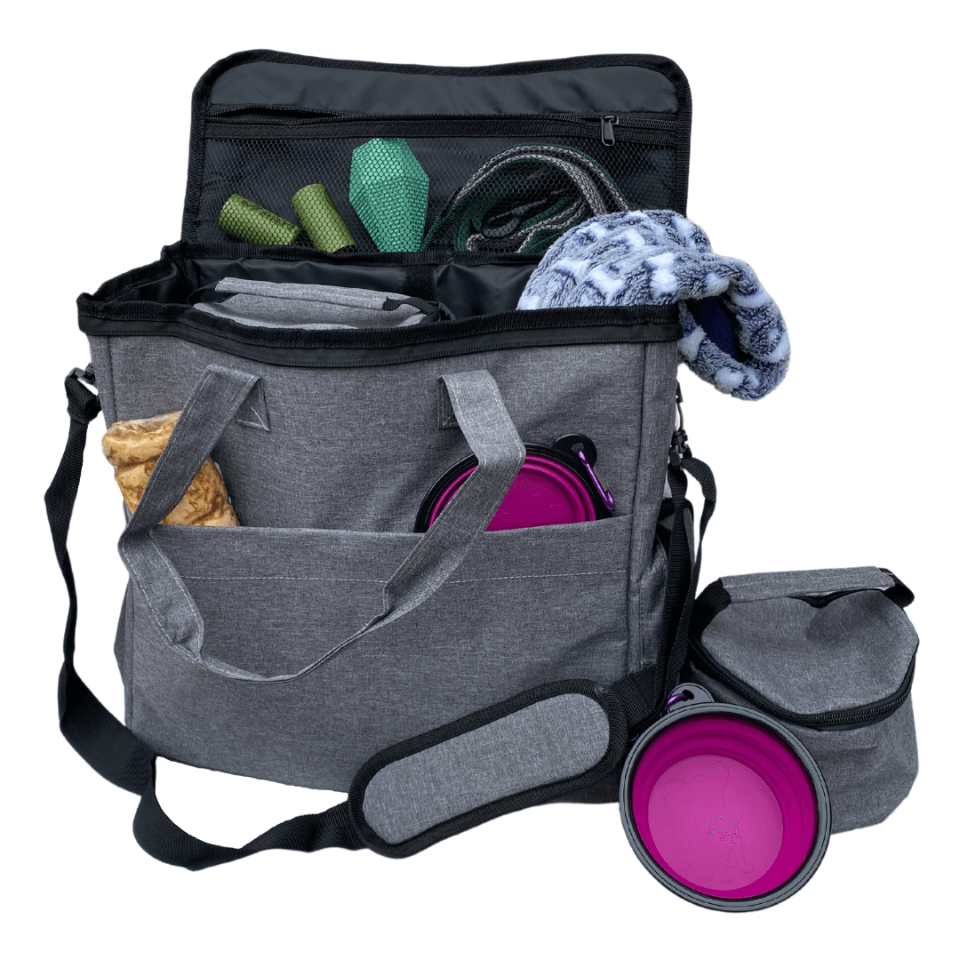 Lightweight Weekender Pet Travel Bag