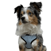 perfect fit birdie pattern dog harness on aussie