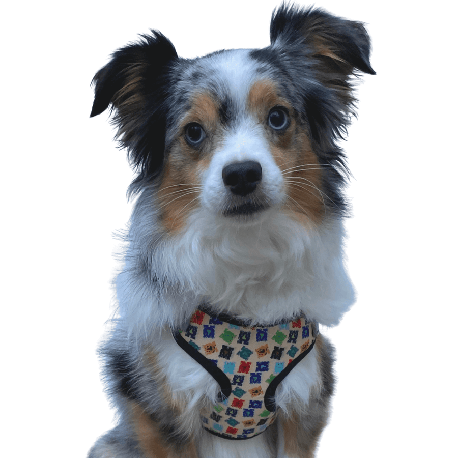 perfect fit frog pattern dog harness on aussie