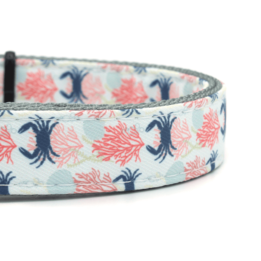 dog collar with blue crabs, blue seashells, and pink corals