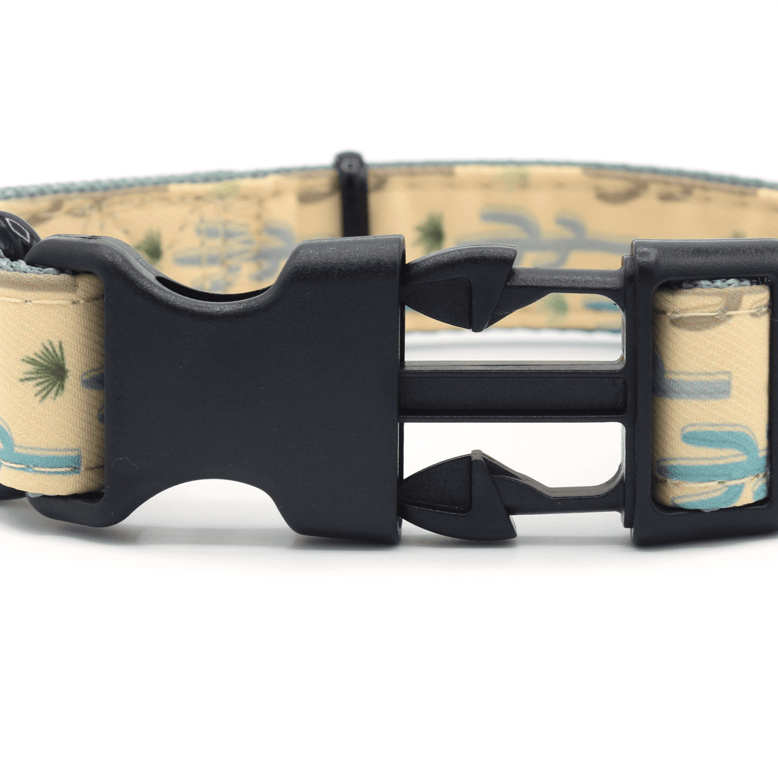 durable clips high quality cactus pattern dog collar