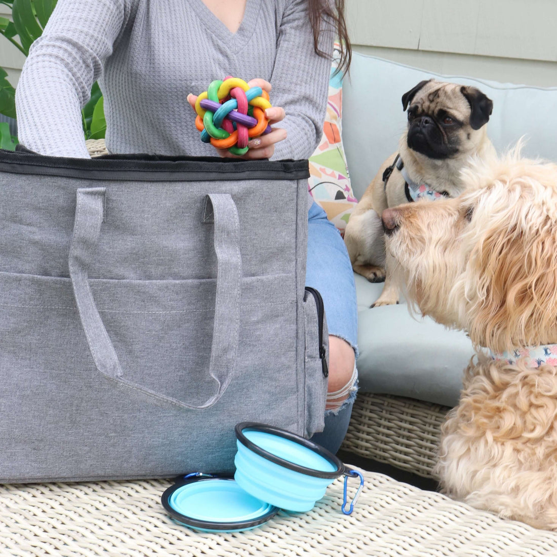 Thirty-One Dog Tote Bags
