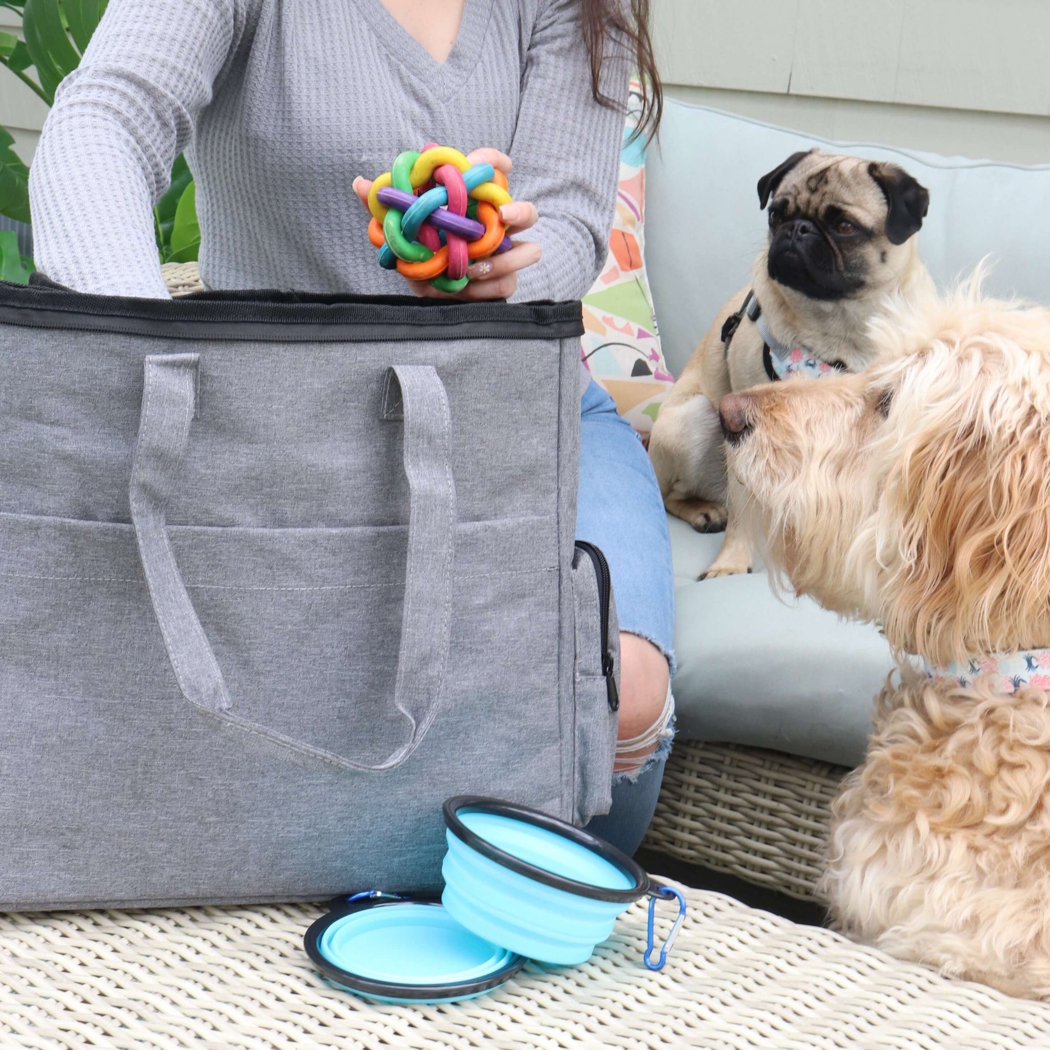 Lightweight Weekender Pet Travel Bag Free Shipping   IMG 6660 2048x 