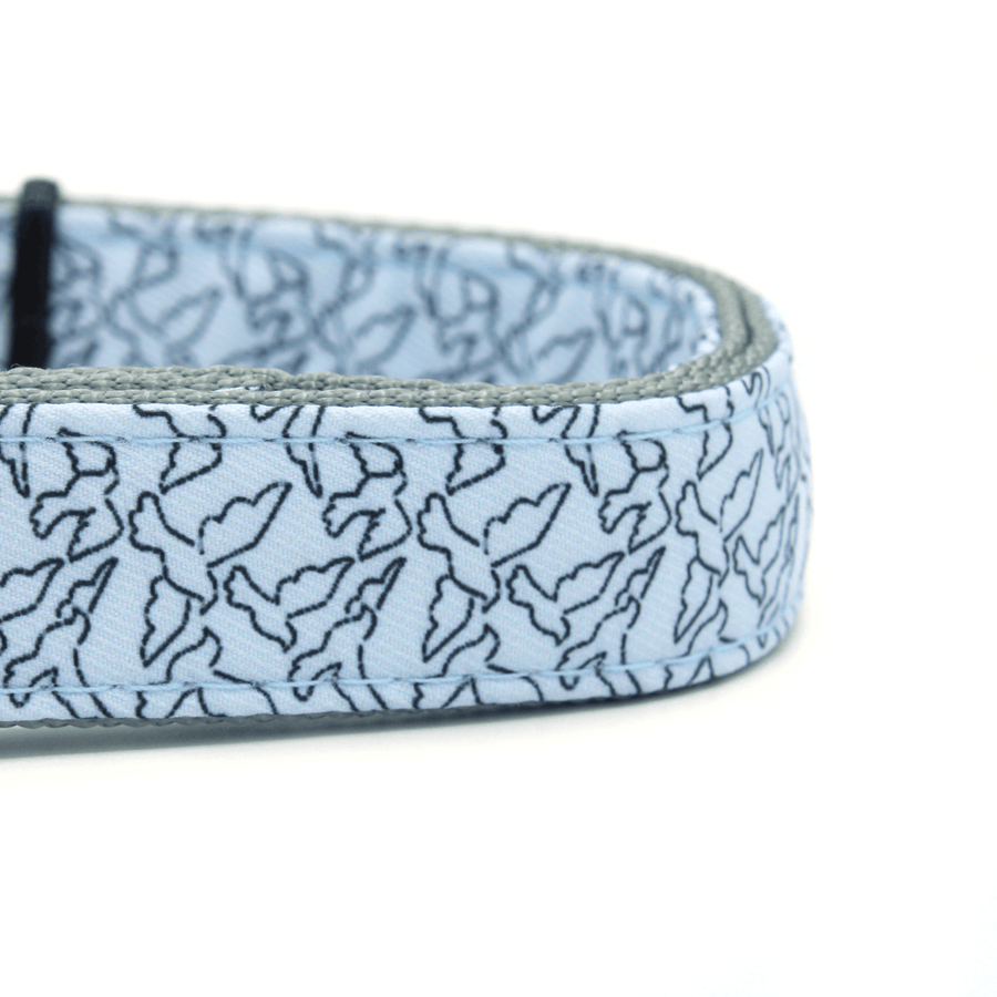 blue dog collar with a black bird pattern