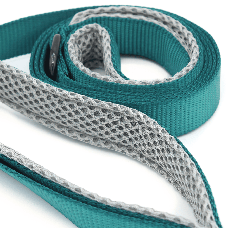 a closeup photo of a dark teal leash with grey padded handles