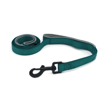 a dark teal blue leash with grey handles and black clasp