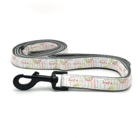 a dog leash with a pattern of positive words in a rainbow of colors
