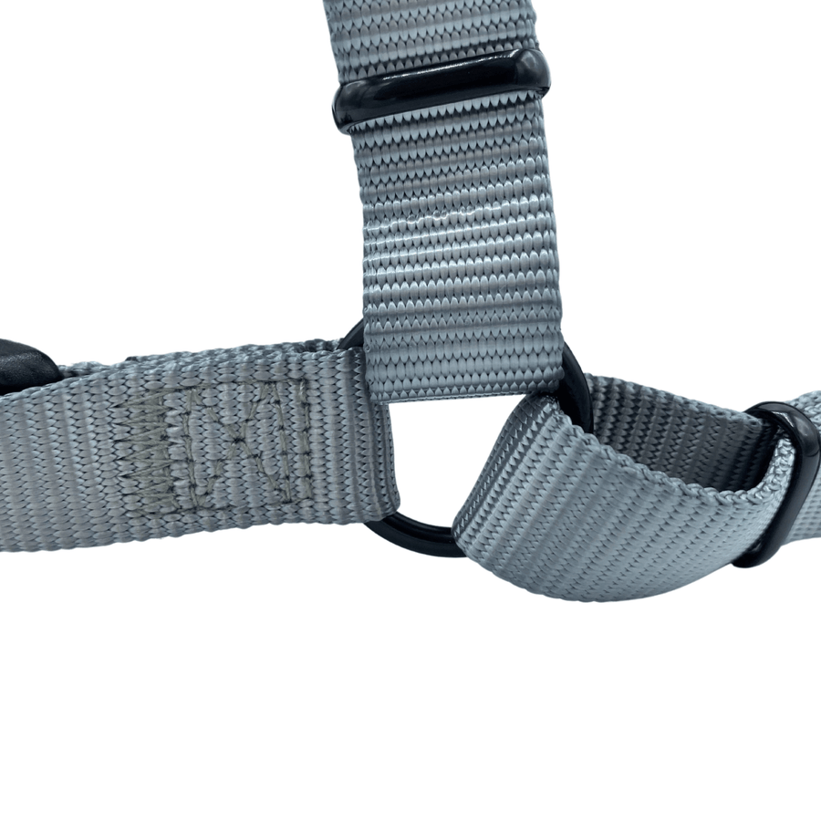 Stay Hoppy Perfect Fit Dog Harness