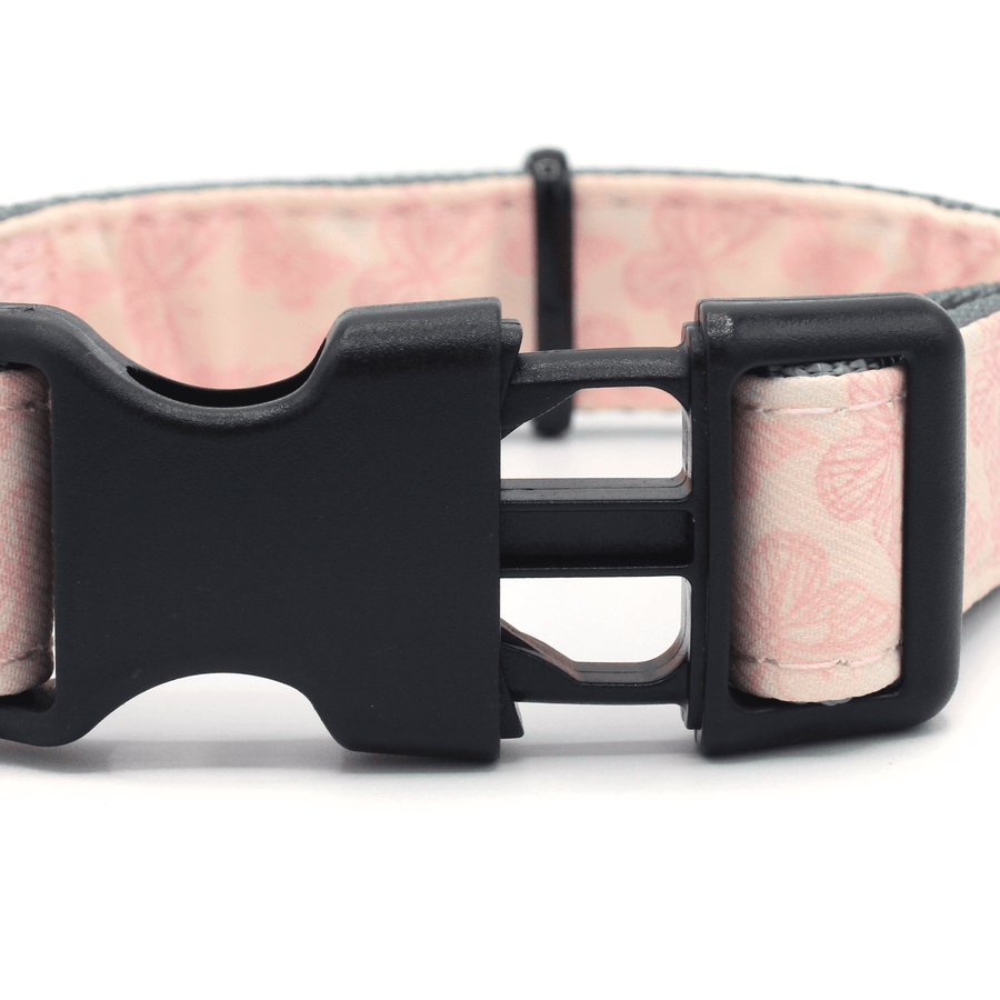 durable clip high quality butterfly pattern dog collar