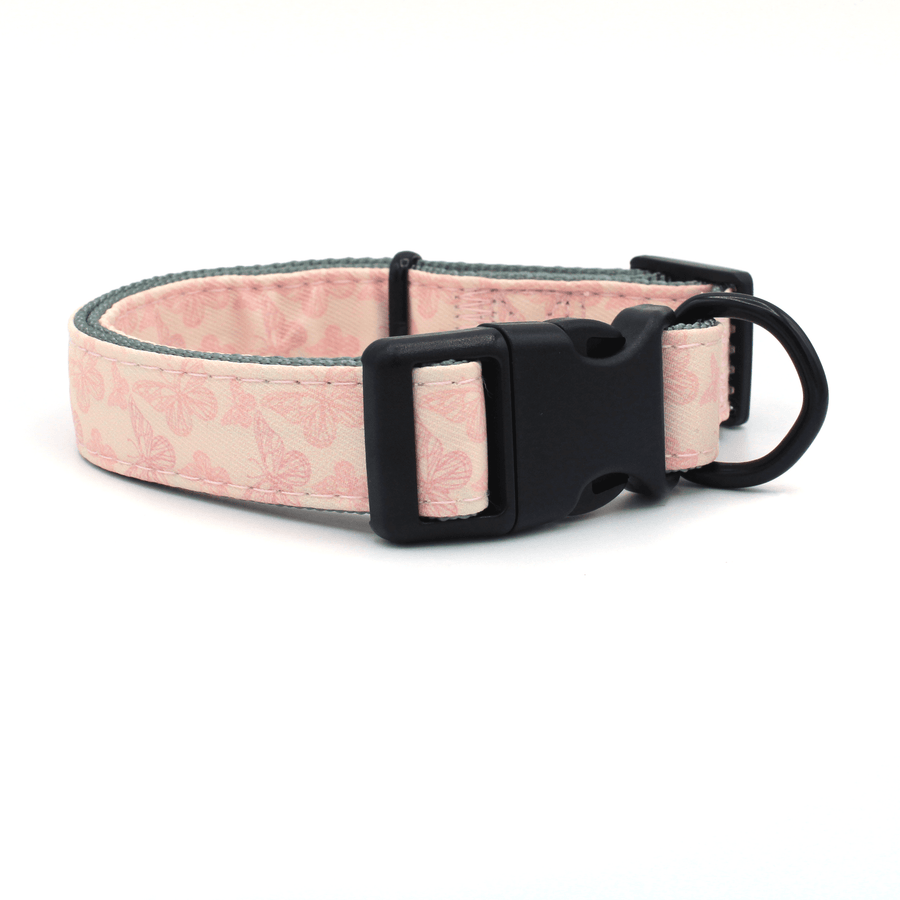 pink butterfly pattern dog collar