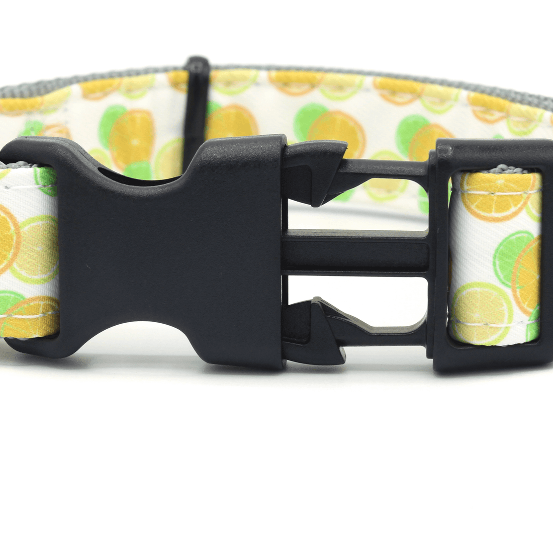 closeup of a black buckle on a fruit patterned leash
