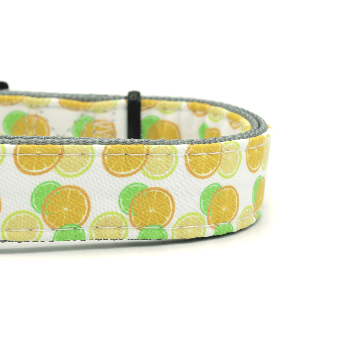 close up high quality fruit pattern dog collar