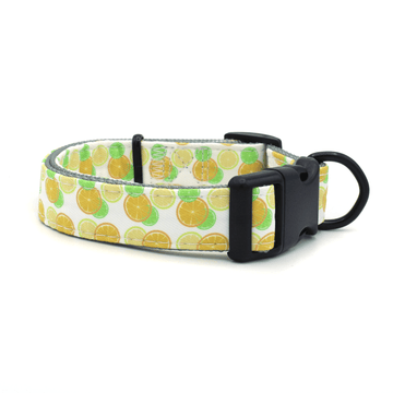 dog collar with fruit slice pattern