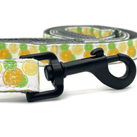 a dog leash with orange, lemon, and lime fruit slices pattern and black hardware