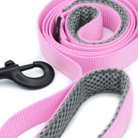 a bright pink leash with grey handles and black clasp