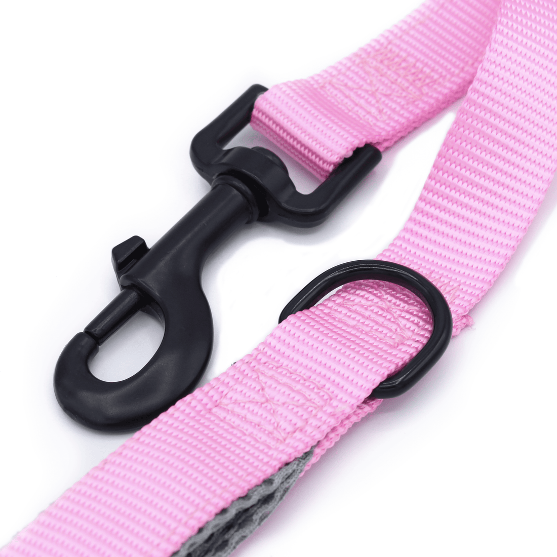 a bright pink leash with black clasp and d-ring
