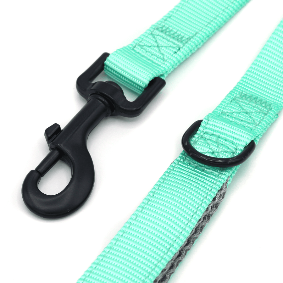 bright aqua leash closeup photo with black hardware