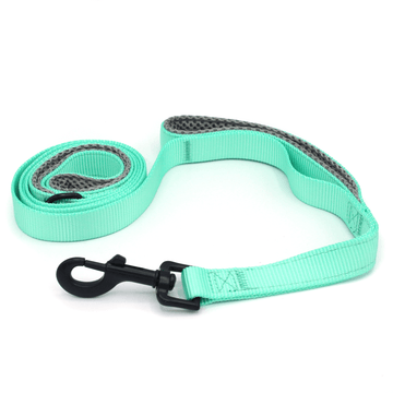 bright aqua colored leash with two handles padded with a light grey mesh