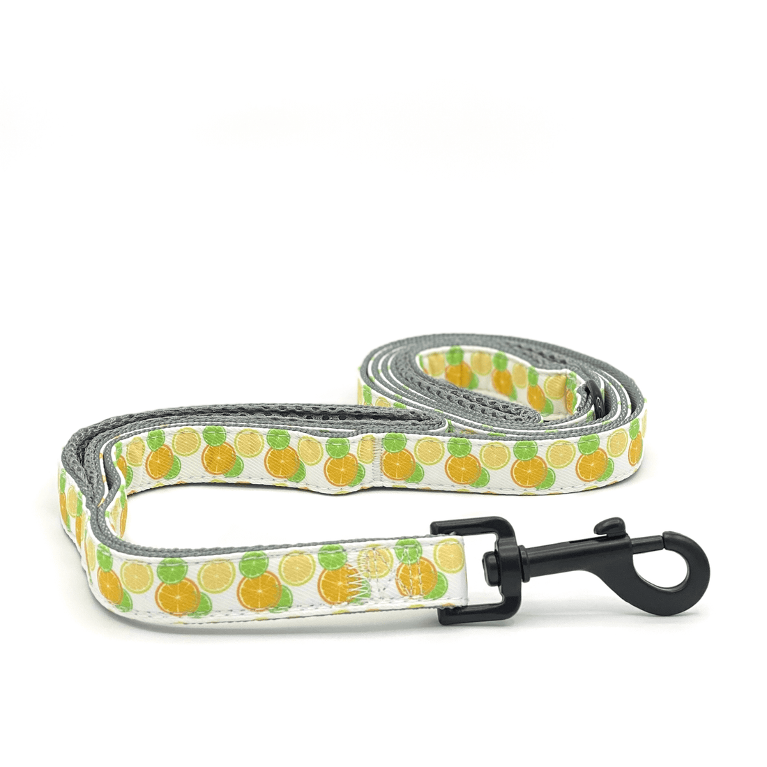 double handle dog leash for dogs that pull in a bright citrus pattern