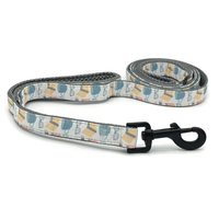dog leash with double handle for control and safety