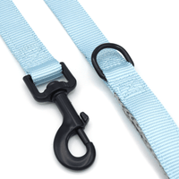 light blue double handle dog leash for pullers with strong metal clasp