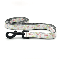 dog leash with two handles for training and safety with a rainbow pattern