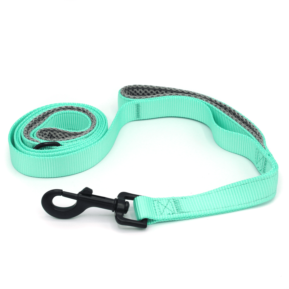 teal double handle dog leash for dogs that pull with padded handle for better control